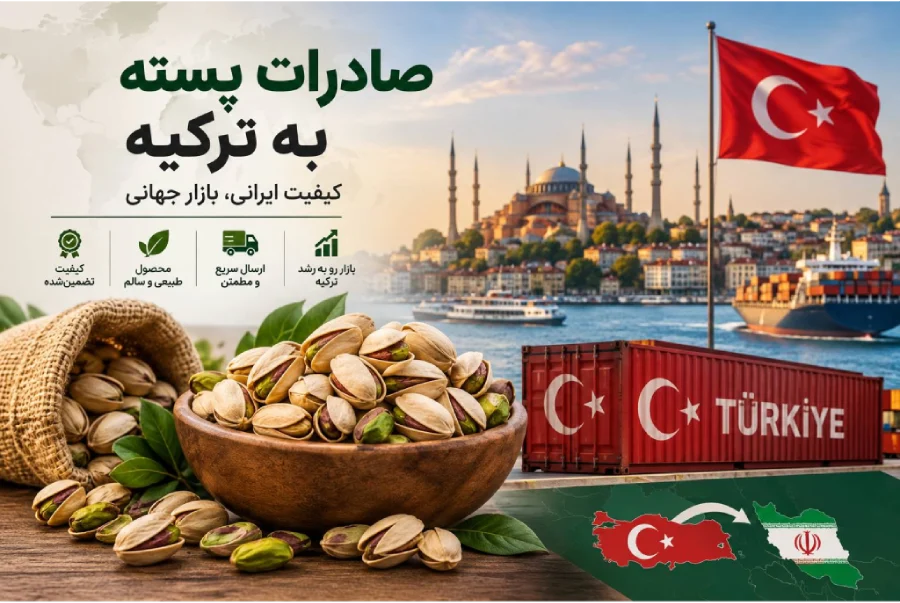 صادرات پسته به ترکیه؛ بازار، شرایط صادرات و راه‌های پیدا کردن مشتری